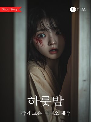 cover image of 하룻밤